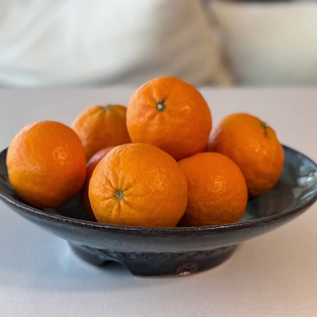 Bowl: Blue Footed & Carved