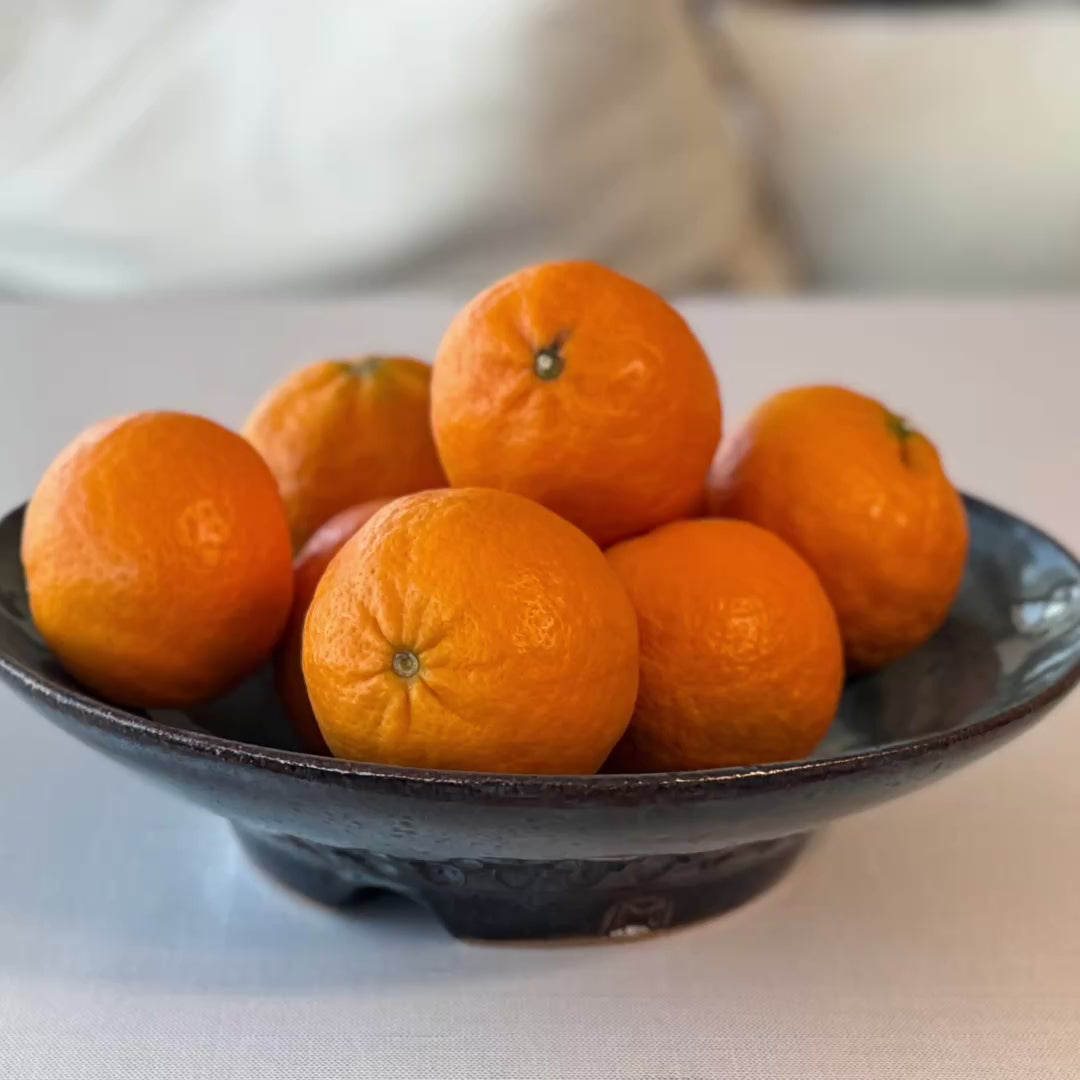 Bowl: Blue Footed & Carved